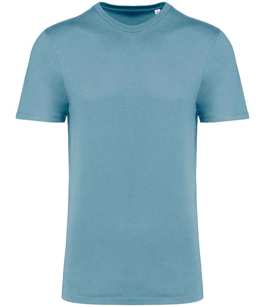 Ysbryd Brodorol Unisex Criw Gwddf Crys-T IC