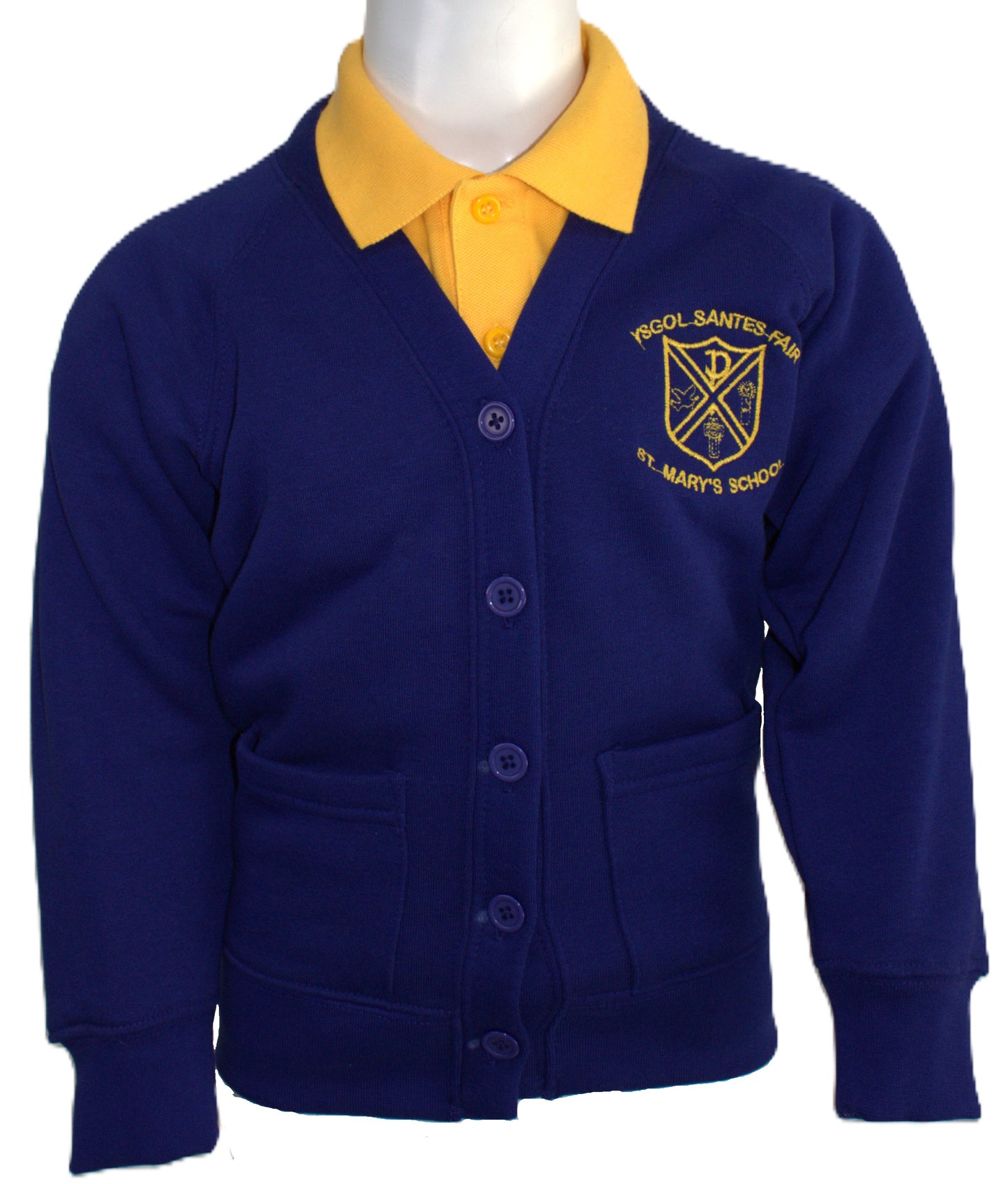 Ysgol St Marys Cardigan