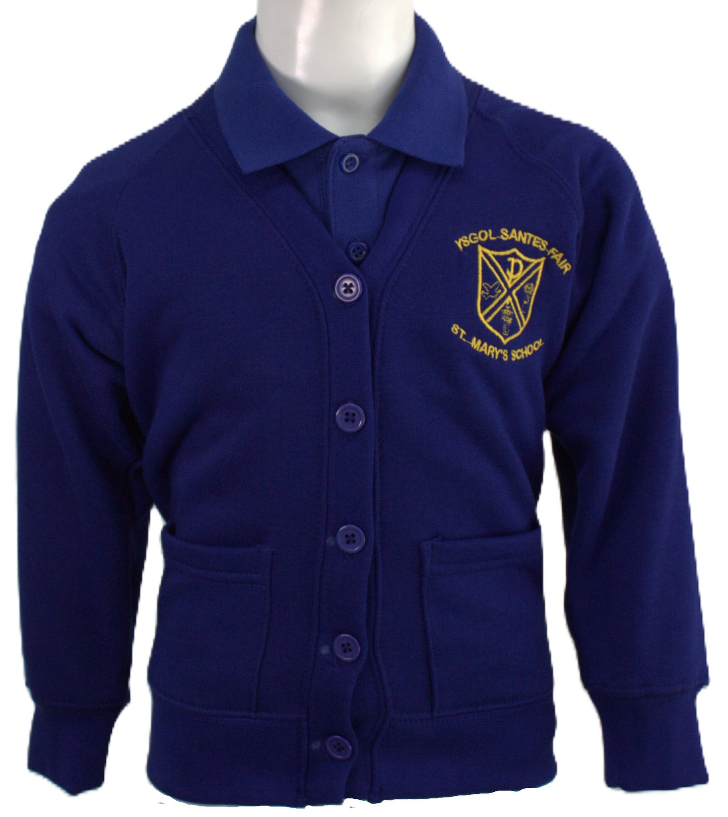 Ysgol St Marys Cardigan